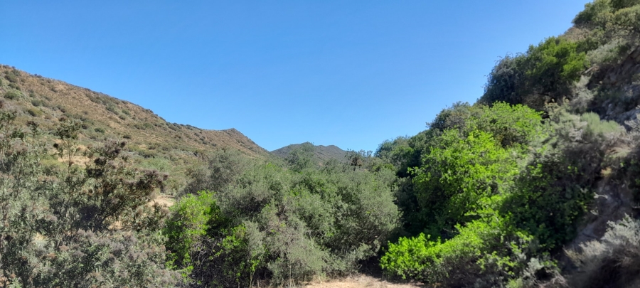 Commercial Property for Sale in Montagu Rural Western Cape